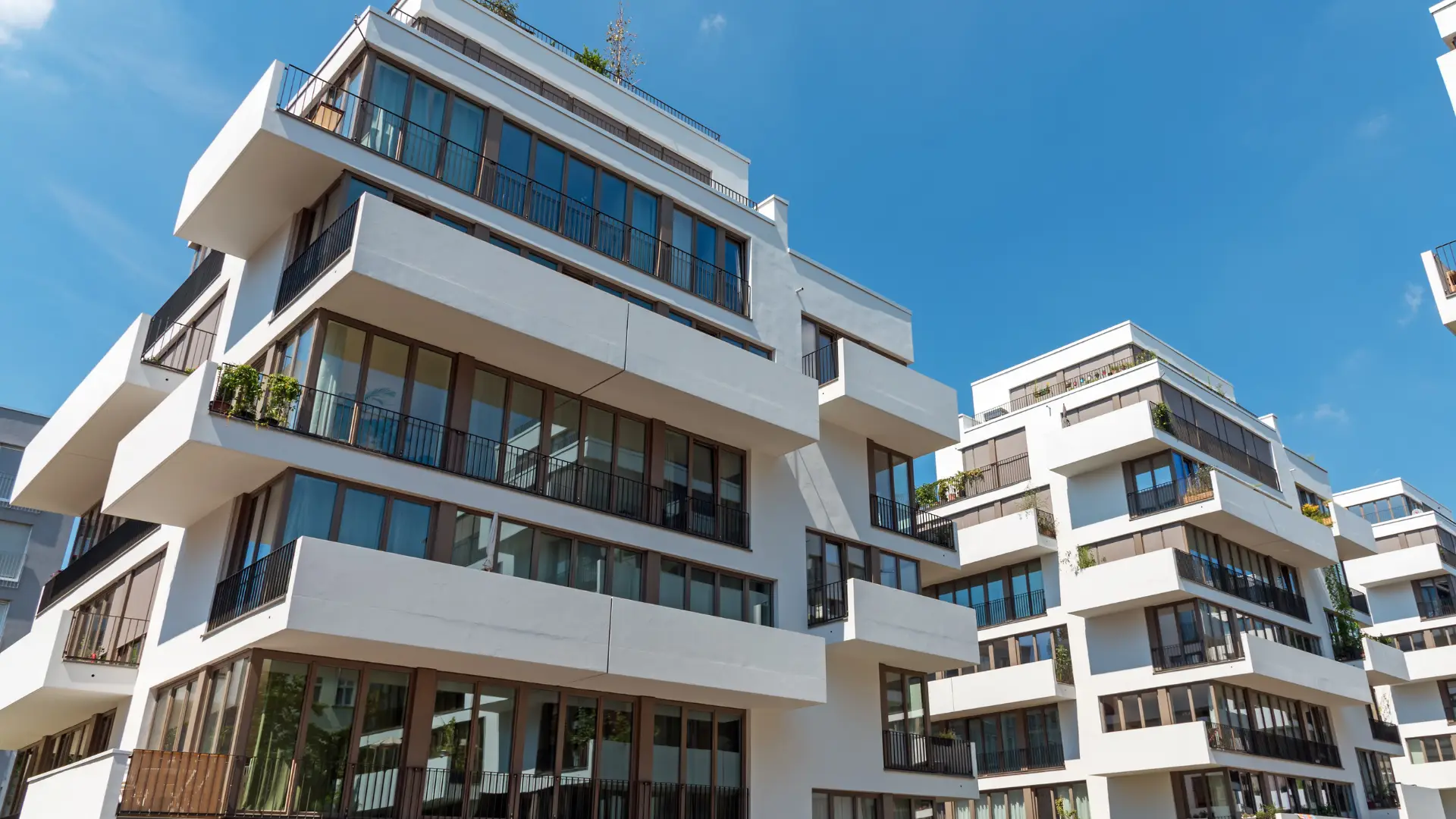 Tampa bay collective condos