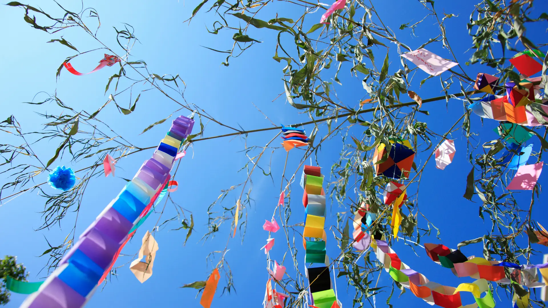 Tampa Bay Events